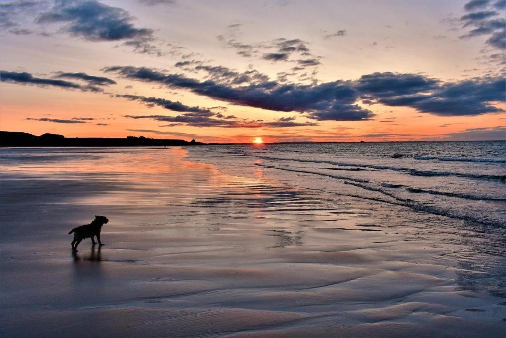 Westlea Guest House Alnmouth Exteriör bild